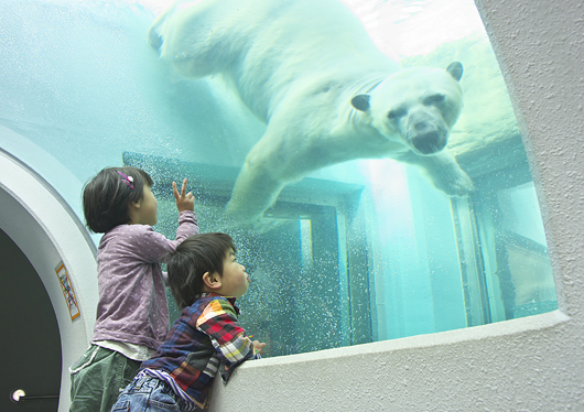 静岡市立日本平動物園