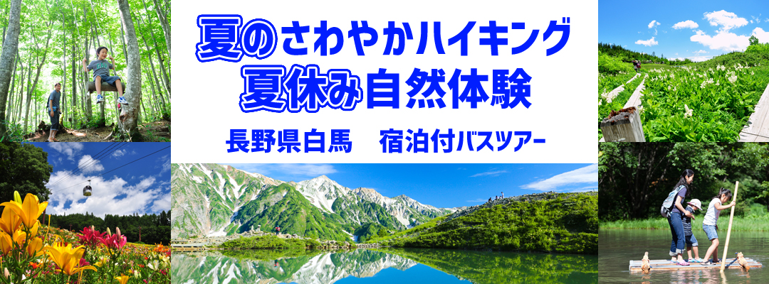 白馬 夏のさわやかハイキング 夏休み自然体験 関東発 東京発 日帰りバスツアーのバス旅 オリオンツアー