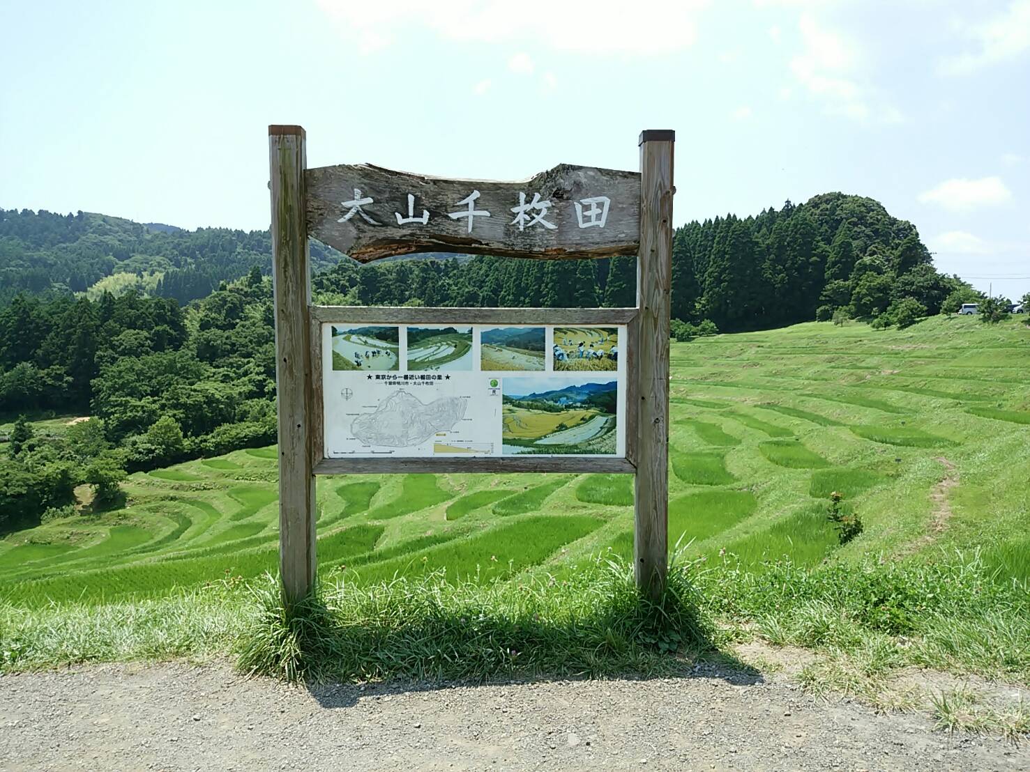 夏の大山千枚田は緑が綺麗 関東発 東京発 日帰りバスツアーのバス旅 オリオンツアー