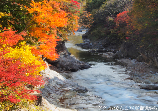 群馬 上州満喫の秋 諏訪峡 吹割の滝の紅葉 天空の城下町 上州沼田で食べ歩き 赤城牛ステーキと松茸わっぱ膳に希少なりんご ぐんま名月 狩り食べ放題もお楽しみ 関東発 東京発 日帰りバスツアーのバス旅 オリオンツアー