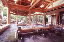 ナガシマスパーランド ナガシマ入園&湯あみの島入浴券付&ナガシマファーム農業体験『いちご狩り』プラン