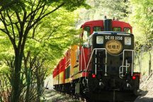 嵐山嵯峨野トロッコ列車・清水寺・伏見稲荷大社満喫ツアー