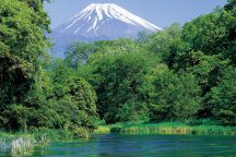 柿田川公園