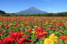山中湖花の都公園