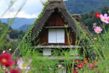 世界遺産 白川郷合掌集落と飛騨高山 日帰りバスツアー
