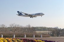 空の駅『さくら館』