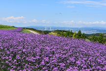 あわじ花さじき