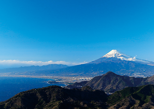 大阪 トップ 富士山 バス