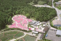 花のじゅうたん