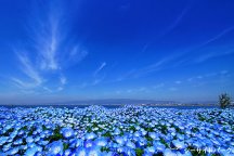 大阪まいしまシーサイドパーク