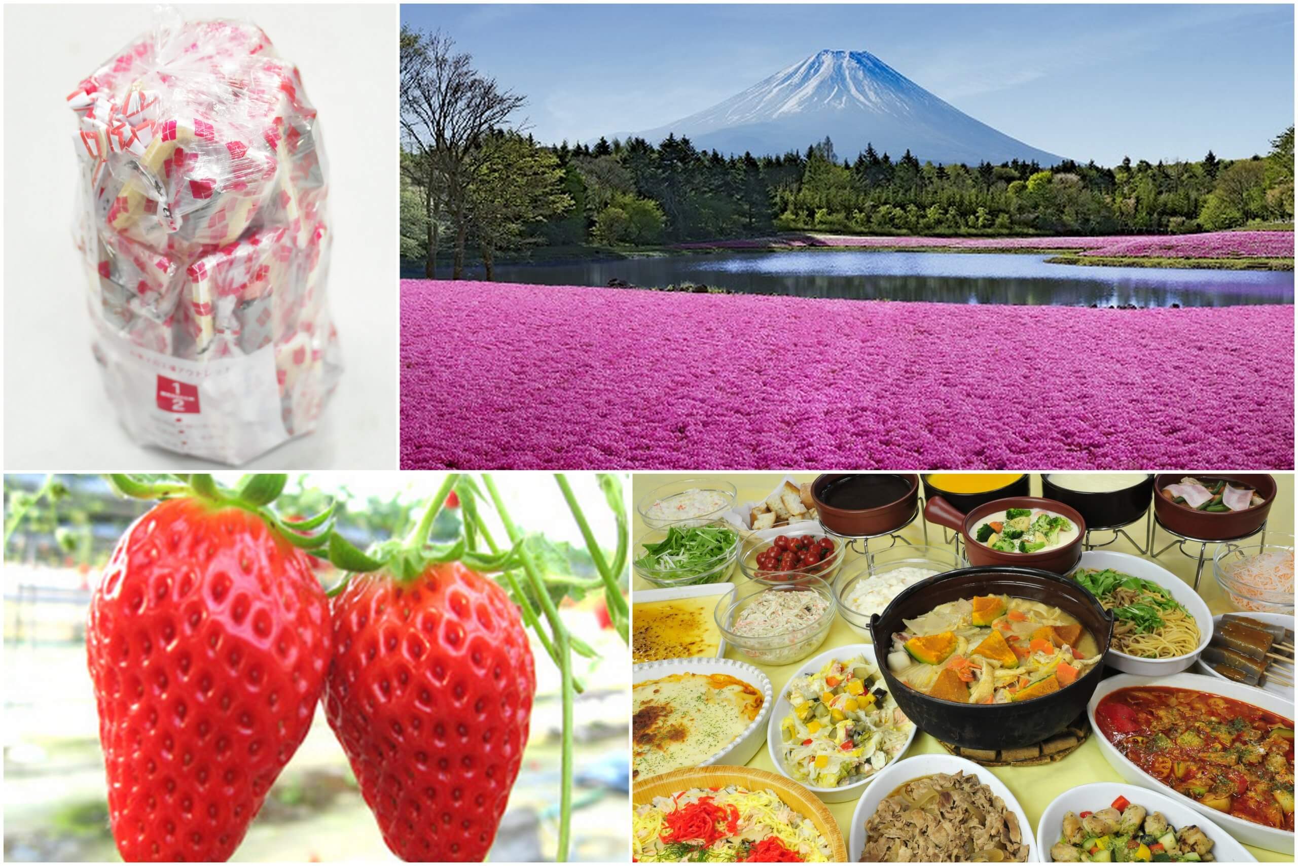 やまなしの春！『富士芝桜まつり』と人気の桔梗信玄餅詰め放題！シーズンラスト完熟いちご狩り