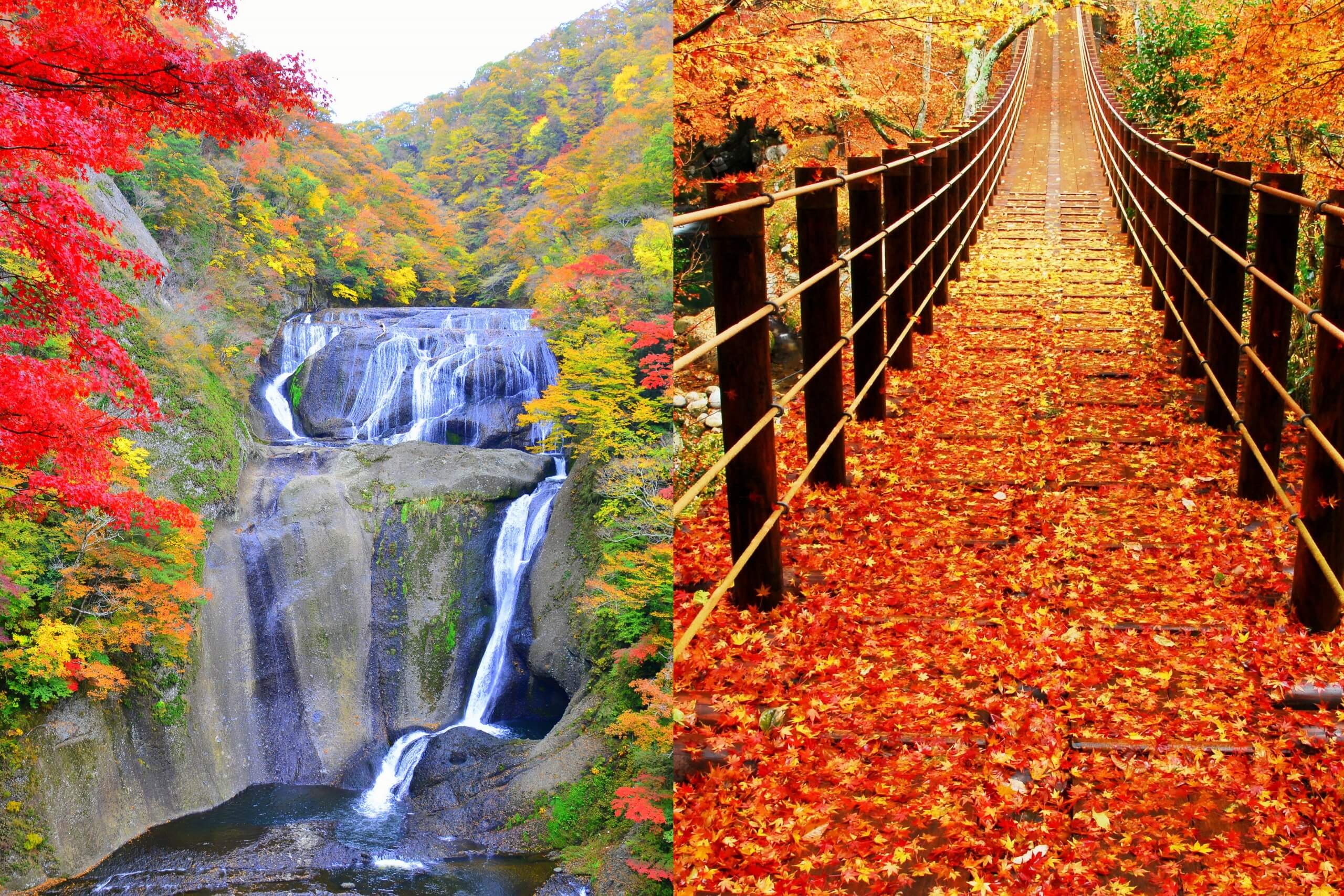 茨城の紅葉名所を巡る！日本三大名瀑「袋田の滝」×汐見滝吊り橋がかかる「花貫渓谷」へ！