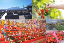 早春の山梨で彩りさんぽ☆心ときめくひな飾り＆神秘の湧水『忍野八海』× 富士山絶景＆ビタミン満点いちご狩り食べ放題！＜うれしい♪イチゴ２パックお持ち帰り付き＞