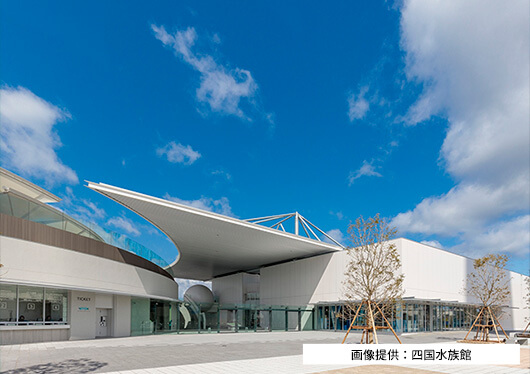 マオ旅　四国　沖縄　九州 AMANE RESORT SEIKAI - 宿泊予約 - イオンコンパストラベルモール