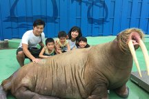 伊勢シーパラダイス