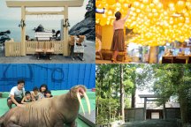 《伊勢シーパラダイス入場券付き》お伊勢参りは浜参宮から！夫婦岩「二見興玉神社」と「伊勢神宮」 最強パワースポット巡り日帰りバスツアー