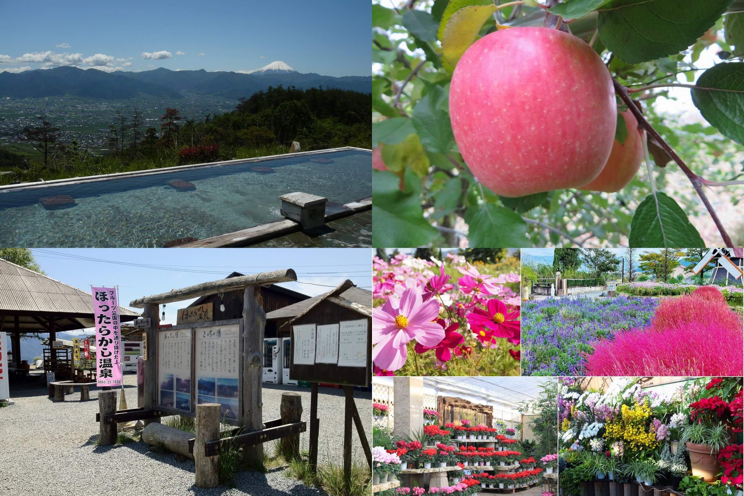 絶景温泉！ほったらかし温泉と秋の味覚りんご狩り園内食べ放題《甲州ワインビーフ陶板焼き御膳の昼食付》