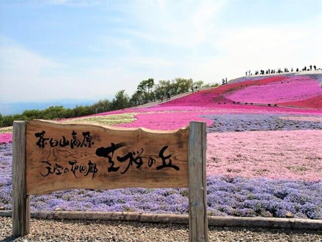 40万株の茶臼山高原の芝桜とローカル列車極楽行きの旅　JPNCHY90
