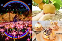 体験パラダイス!「オリジナルモンブラン作り体験×にっこり梨狩り!」&宇都宮餃子ランチ&あしかがフラワーパーク「光の花の庭」イルミネーション★