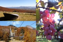 秋色を楽しむ♪八ヶ岳ブルーと紅葉の絶景『清里テラス』&ぶどう狩り園内食べ放題!秋のやまなし絶景の旅♪<地元素材にこだわったサンドプレートランチ付>