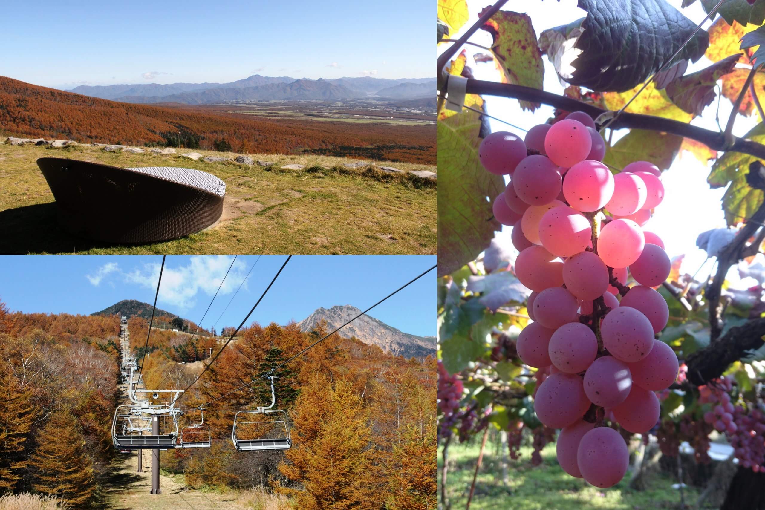 秋色を楽しむ♪八ヶ岳ブルーと紅葉の絶景『清里テラス』＆ぶどう狩り園内食べ放題！秋のやまなし絶景の旅♪＜地元素材にこだわったサンドプレートランチ付＞