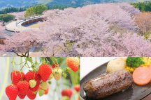 早春ミニミニハイキング♪いばらきフラワーパーク＆いちご狩り食べ放題＆絶品！黒毛和牛「俵ハンバーグ」ランチ＆あみプレミアム・アウトレット！