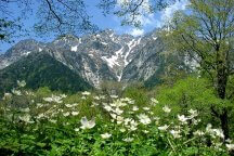 選べるお弁当付　北アルプスの絶景　上高地へ行く日帰りバスツアー　24135A