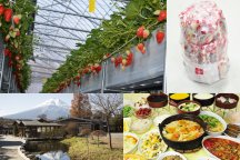 山梨が冬でもアツいんです！不動の人気【桔梗信玄餅詰め放題】＆いちご狩り食べ放題♪さらに世界遺産「富士山」山麓のＳＮＳ映えスポットへご案内
