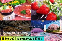 <「ZIP!」「DayDay.」で紹介されました!>キラッキラの冬!特選牛すき焼きと甘エビ食べ放題&あしかがフラワーパーク「光の花の庭」イルミネーション&いちご狩り食べ放題♪
