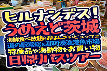 《日本テレビ|ヒルナンデス！にて紹介コース》うめえど茨城！メロン生産量日本一【鉾田産メロン１玉狩り＆半玉試食】＆寿司食べ放題付おばんざいビュッフェ＆道の駅常総＆那珂湊おさかな市場でお買い物♪