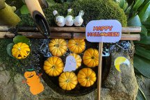 柳谷観音 楊谷寺