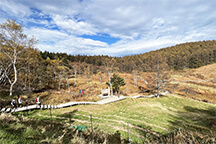 【長野県】花と自然の宝庫!入笠山(にゅうかさやま)を歩こう♪お手軽1DAYフリーハイキング