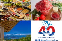 とびっきりの夏！贅沢三昧！寿司含むご当地グルメ40種食べ放題＆農園直営いちご100％かき氷「まるごとゆめ苺」＆富士を望む眺望「日本平夢テラス」