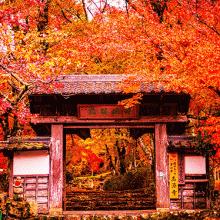 高源寺