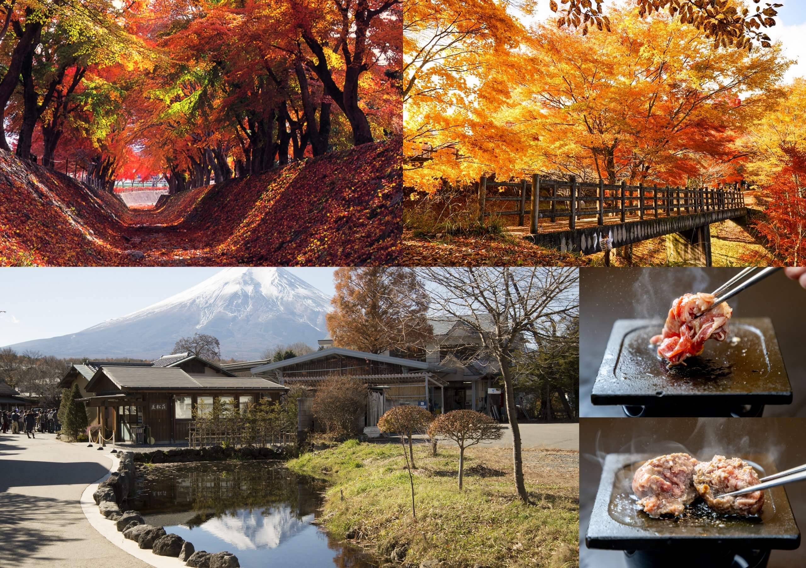 【新コース】ぎゅ～っと詰め込み秋満喫♪富士山麓二大紅葉スポット「河口湖もみじ回廊」＆「山中湖夕焼けの渚紅葉まつり」観賞♪手ごね牛ハンバーグ＆黒毛和牛の食べ比べランチ