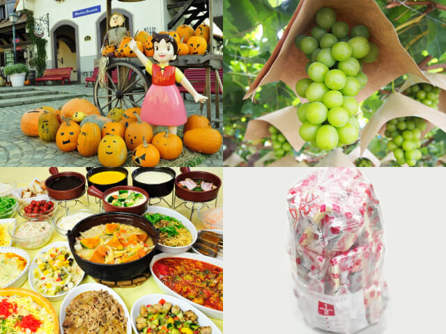 Trick or Treat！秋の花咲く庭園『ハイジの村ハロウィン祭り』とシャインマスカット狩り園内食べ放題＆大人気！桔梗信玄餅の詰め放題♪