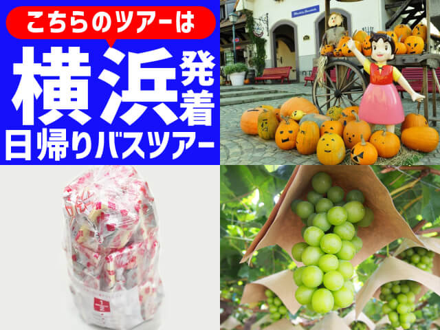＜横浜発＞Trick or Treat！秋の花咲く庭園『ハイジの村ハロウィン祭り』とシャインマスカット狩り園内食べ放題＆大人気！桔梗信玄餅の詰め放題♪