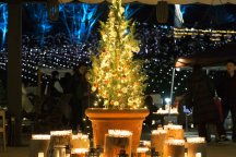 一面が煌めく絶景★らぽっぽなめがたファーマーズヴィレッジで大学芋詰め放題＆いばらきフラワーパーク「Moonlight Rose Garden」＆地元で大人気のビュッフェランチ♪