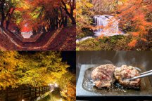 ぎゅ~っと詰め込み秋満喫♪富士山麓二大紅葉スポット「河口湖もみじ回廊」&「山中湖夕焼けの渚紅葉まつり」観賞♪手ごね牛ハンバーグランチも!