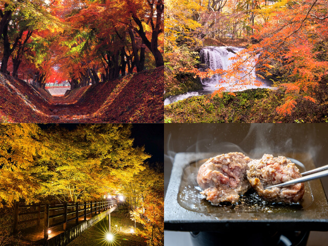 ぎゅ~っと詰め込み秋満喫♪富士山麓二大紅葉スポット「河口湖もみじ回廊」&「山中湖夕焼けの渚紅葉まつり」観賞♪手ごね牛ハンバーグランチも!