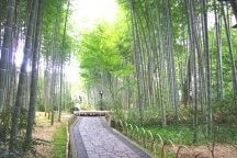 修禅寺温泉街