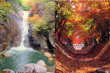 山梨紅葉さんぽ♪県内屈指の渓谷美「昇仙峡」&富士山麓湖畔「河口湖もみじ回廊」県内2大紅葉スポットめぐり!