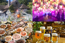 幻想の光に包まれる!箱根ガラスの森美術館&ディナーバイキング×クラフトビール飲み放題!550万球が灯す光の世界「ひかりのすみかイルミネーション」