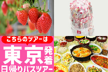 <東京駅発>ハイジの村でスイス&甲州郷土料理ビュッフェ♪旬のいちご狩り園内食べ放題&大人気『桔梗信玄餅の詰め放題』も!