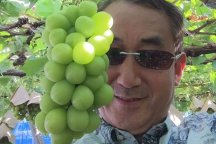 岐阜名古屋発ハイジの村で山梨の郷土料理のランチバイキングとフルーツ王国山梨のもぎたてフレッシュシャインマスカット狩り食べ放題40分ヘ行く日帰りバスツアー信玄餅つめ放題付き!