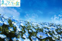 こうべアグリパーク