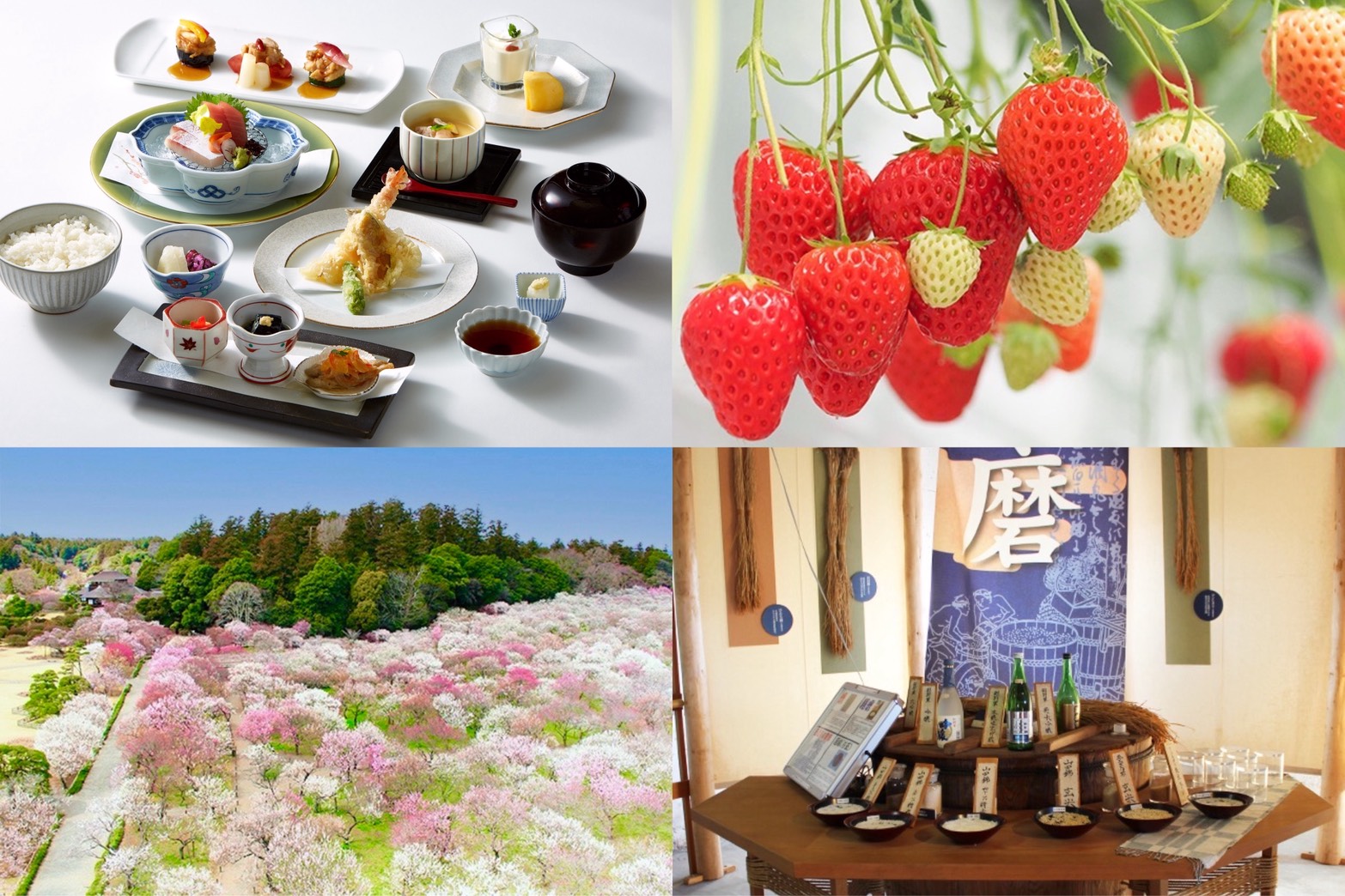 梅の香りに誘われて♪日本三名園偕楽園「水戸の梅まつり」へ!いちご狩り食べ放題&新登場!森の中迎賓館「水戸プラザホテル」和食ランチ×梅酒と酒の資料館「別春館」★