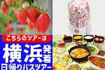 ＜横浜発＞ハイジの村でスイス＆甲州郷土料理ビュッフェ♪旬のいちご狩り園内食べ放題＆大人気『桔梗信玄餅の詰め放題』も！