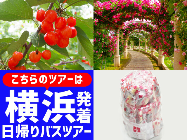 ＜横浜発＞バラと初夏の花咲くハイジの村！スイス＆甲州郷土料理ビュッフェに桔梗信玄餅詰め放題♪さくらんぼ狩り園内食べ放題！