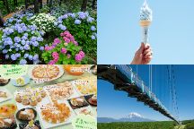 移りゆく色彩の宴!13000株が咲き誇る♪青紫白ピンクの《あじさい祭》三島スカイウォーク〈そらソフト付〉＆桃とメロンのスイーツバイキング＆箱根パワースポット《箱根神社》